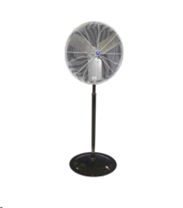 Rental store for 30  Pedestal Fan- White in New Orleans LA